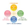 若々しさの成分 セサミン ゴマ特有の稀少成分 ／ 体調を整えるオリザプラス 玄米からポリフェノールをぎゅっと凝縮した成分 ／ 年齢美容に天然ビタミンE 大豆やナッツ類に含まれる美容成分 ／ スーパービタミン トコトリエノール パーム油や麦のぬかに含まれる美容成分