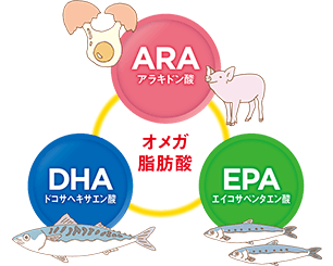 オメガ脂肪酸 ARAアラキドン酸 DHAドコサヘキサエン酸 EPAエイコサペンタエン酸
