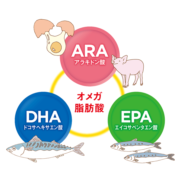 オメガ脂肪酸 ARAアラキドン酸 DHAドコサヘキサエン酸 EPAエイコサペンタエン酸