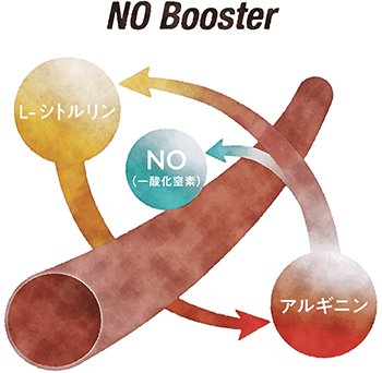 インカ帝国のイラスト