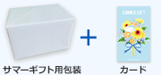 サマーギフト用包装+カード