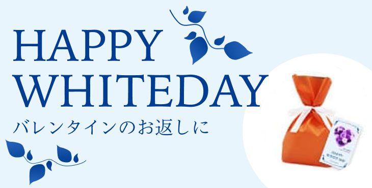 HAPPY WHITE DAY バレンタインのお返しに 3.14 ホワイトデーギフト包装・カード付き