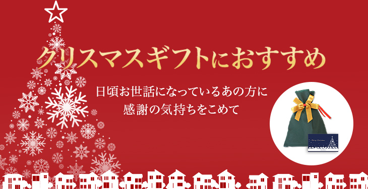 クリスマスギフトにおすすめ 日頃お世話になっているあの方に感謝の気持ちをこめて ウエルネス特製クリスマスカード付き