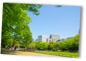 ココロへの働きかけイメージ1