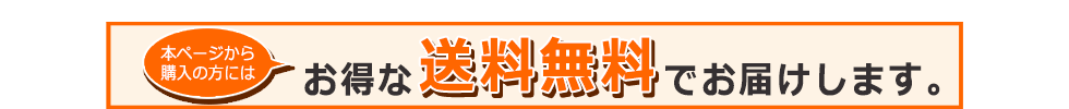 今なら本ページからご購入の方限定!お得な送料無料でお届けします。