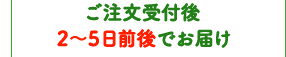 ご注文受付後2～5日前後でお届け