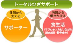 トータルひざサポート 外側から支えるサポーター 内側から働きかける食生活(マグロやフカヒレなどの筋肉成分・軟骨成分)