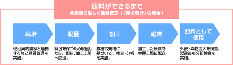 原料ができるまで　全段階で厳しく品質管理（『極の青汁』の場合）