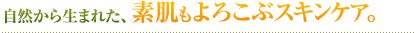 自然から生まれた、素肌もよろこぶスキンケア。