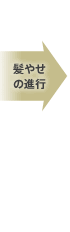 髪やせの進行