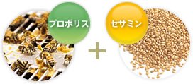 プロポリス + セサミン