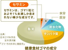 健康食材ゴマの成分 セサミン:セサミンは、ゴマ1粒におよそ1%未満しか含まれない稀少な成分です。 出典:日本ゴマ科学会 並木満夫編『ゴマ その科学と機能性』