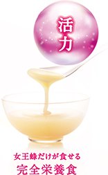 活力 女王蜂だけが食せる完全栄養食