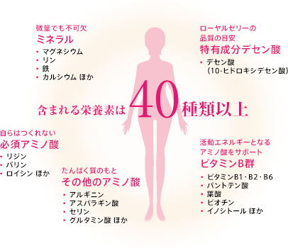 含まれる栄養素は40種類以上 微量でも不可欠 ミネラル・マグネシウム・リン・鉄・カルシウム ほか ローヤルゼリーの品質の目安 特有成分デセン酸 ・デセン酸(10-ヒドロキシデセン酸) 活動エネルギーとなるアミノ酸をサポート ビタミンB群 ・ビタミンB1 B2 B6・パントテン酸・葉酸・ビオチン・イノシトール ほか 自らはつくれない 必須アミノ酸 ・リジン・バリン・ロイシン ほか たんぱく質のもと その他のアミノ酸 ・アルギニン・アスパラギン酸・セリン・グルタミン酸 ほか