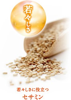 若々しさ 若々しさに役立つセサミン