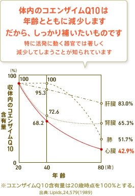 体内のコエンザイムQ10は年齢とともに減少します だから、しっかり補いたいものです 特に活発に動く器官では著しく減少してしまうことが知られています ※コエンザイムQ10含有量は20歳時点を100%とする。 出典:Lipids,24,579(1989)
