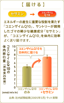 【届ける】セサミン→コエンザイムQ10 エネルギーの生産に重要な役割を果たす「コエンザイムQ10」。サントリーが開発したゴマの希少な健康成分「セサミン」が、「コエンザイムQ10」を体内に効率よく送り届けます。 コエンザイムQ10の体内移行量(摂取後24時間) 出典:社内試験結果(2005年5月)
