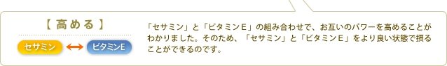 【高める】セサミン⇔ビタミンE 「セサミン」と「ビタミンE」の組み合わせで、お互いのパワーを高めることがわかりました。そのため、「セサミン」と「ビタミンE」をより良い状態で摂ることができるのです。