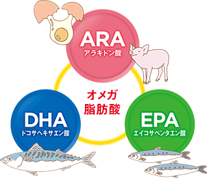 オメガ脂肪酸 ARAアラキドン酸 DHAドコサヘキサエン酸 EPAエイコサペンタエン酸