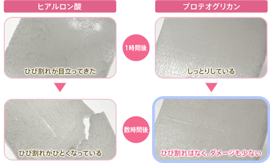 ヒアルロン酸 プロテオグリカン 実験結果画像