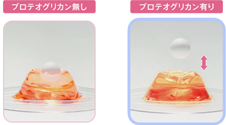 プロテオグリカン無し プロテオグリカン有り 実験結果画像