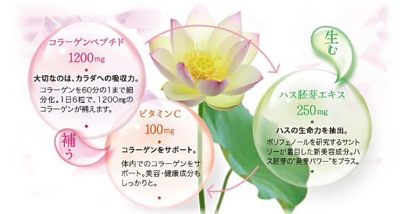 「補う」コラーゲンペプチド:1200mg 大切なのは、カラダへの吸収力 コラーゲンを60分の1まで細分化。1日6粒で、1200mgのコラーゲンが補えます。 ビタミンC:100mg コラーゲンをサポート。 体内でのコラーゲンをサポート。美容・健康成分もしっかりと。 「生む」ハス胚芽エキス:250mg ハスの生命力を抽出。 ポリフェノールを研究するサントリーが着目した新美容成分。ハス胚芽の“発芽パワー”をプラス。