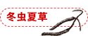 冬虫夏草