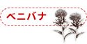 ベニバナ