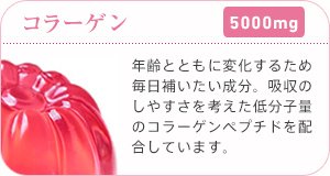 コラーゲン 5000mg 年齢とともに変化するため毎日補いたい成分。吸収のしやすさを考えた低分子量のコラーゲンペプチドを配合しています。
