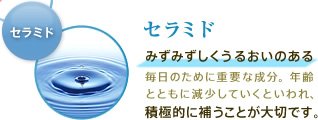 セラミド:みずみずしくうるおいのある毎日のために重要な成分。年齢とともに減少していくといわれ、積極的に補うことが大切です。