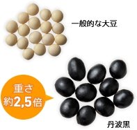 一般的な大豆 重さ約2.5倍 丹波黒