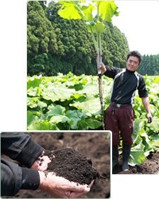 大地の養分と滋味をたっぷりとため込むことができる「ごぼう」