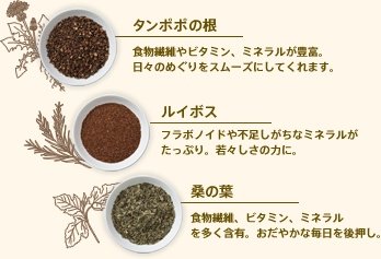 タンポポの根 食物繊維やビタミン、ミネラルが豊富。日々のめぐりをスムーズにしてくれます。 ルイボス フラボノイドや不足しがちなミネラルがたっぷり。若々しさの力に。 桑の葉 食物繊維、ビタミン、ミネラルを多く含有。おだやかな毎日を後押し。