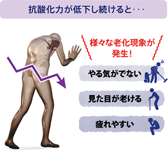 抗酸化力低下し続けると・・・様々な老化現象が発生！やる気がでない、見た目が老ける、疲れやすい