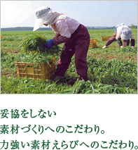 妥協をしない素材づくりへのこだわり。力強い素材えらびへのこだわり。