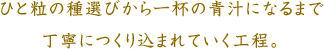 ひと粒の種選びから一杯の青汁になるまで丁寧につくり込まれていく工程。