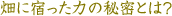 畑に宿った力の秘密とは？