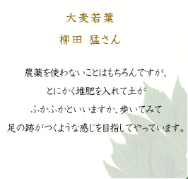 大麦若葉 柳田 猛さん 農薬を使わないことはもちろんですが、とにかく堆肥を入れて土がふかふかといいますか、歩いてみて足の跡がつくような感じを目指してやっています。