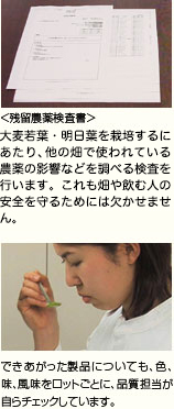 ＜残留農薬検査書＞ 大麦若葉・明日葉とも農薬や化学肥料を使わずに栽培されていますが、他の畑で使われている農薬の影響などを調べる検査も畑や飲む人の安全を守るためには欠かせません。 できあがった製品についても、色、味、風味をロットごとに、品質担当が自らチェックしています。