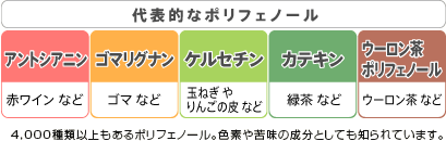 代表的なポリフェノールとしては、赤ワインなどに含まれるアントシアニン、ゴマなどに含まれるゴマリグナン、玉ねぎやりんごの皮などに含まれるケルセチン、緑茶などに含まれるカテキン、ウーロン茶などに含まれるウーロン茶ポリフェノールがあります。4000種類以上もあるポリフェノール。色素や苦味の成分としても知られています。