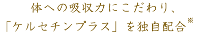 体への吸収力にこだわり、「ケルセチンプラス」を独自配合※