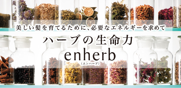 美しい髪を育てるために、必要なエネルギーを求めて　ハーブの生命力 enherb（エンハーブ）