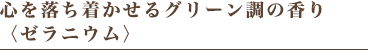 心を落ち着かせるグリーン調の香り〈ゼラニウム〉