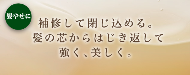 髪やせに 補修して閉じ込める。髪の芯からはじき返して強く、美しく。