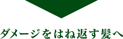 ダメージをはね返す髪へ
