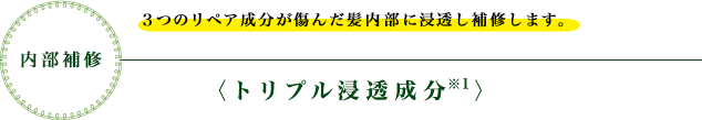 内部補修　３つのリペア成分が傷んだ髪内部に浸透し補修します。　〈トリプル浸透成分※1〉