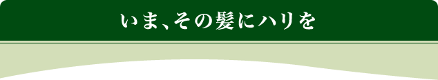 いまの髪をハリを