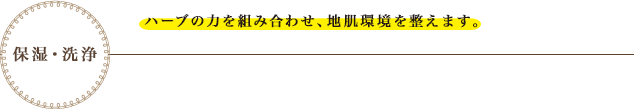 保湿・洗浄　ハーブの力を組み合わせ、地肌環境を整えます。