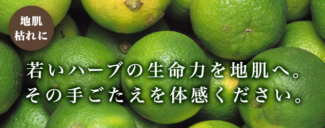 地肌枯れに 若いハーブの生命力を地肌へ。その手応えを体感ください。