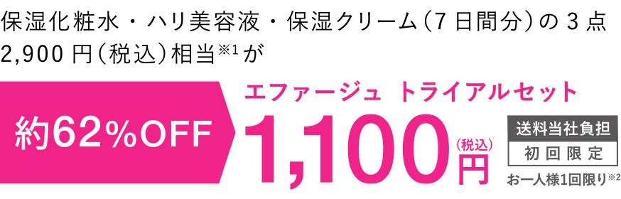 1,100円（税込）